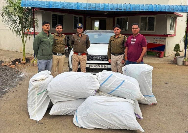 टाटा हैरियर से 140 किलो डोडा चूरा जब्त, तस्कर फरार